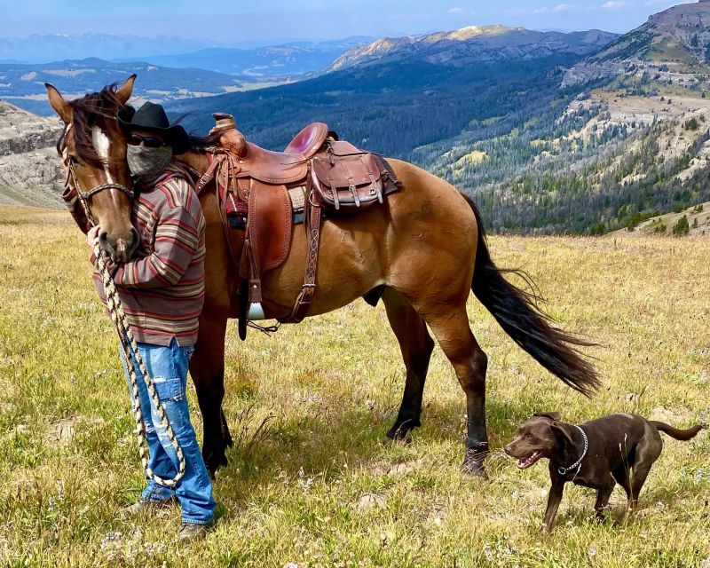 1 jackson hole bridger teton national forest horseback ride Jackson Hole: Bridger-Teton National Forest Horseback Ride