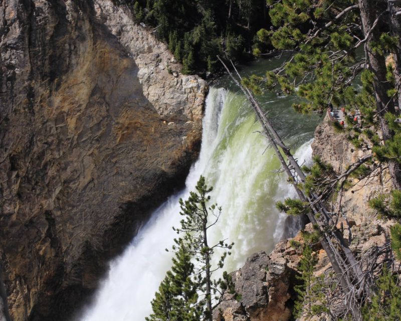 1 jackson hole yellowstone lower loop upper loop 2 day tour Jackson Hole: Yellowstone Lower Loop Upper Loop 2-Day Tour