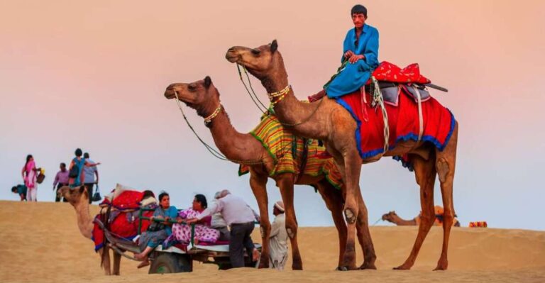Jaisalmer Sam: Sunset Camel Safari & Cultural Program