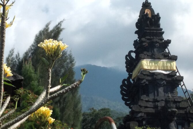 Jakarta Bogor Botanical Garden, Waterfall and Rice Terrace, Lunch