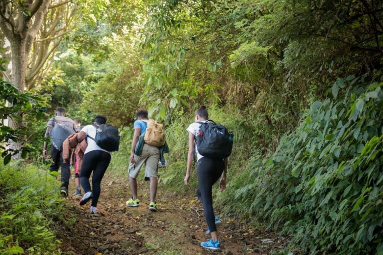 Jamaica: Blue Mountain Peak Hiking Tour