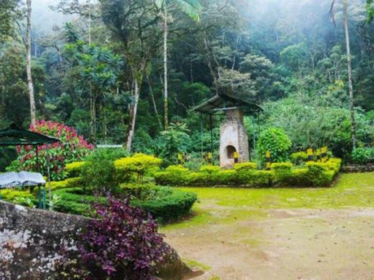 James Taylor’s Enchanting Tea Story Tour From Kandy