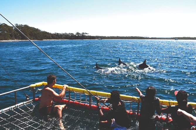 Jervis Bay Boom Netting and Dolphins Tour