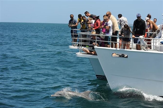 1 jervis bay dolphin cruise Jervis Bay Dolphin Cruise