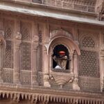 1 jodhpur mehrangarh fort and blue city private guided tour Jodhpur: Mehrangarh Fort and Blue City Private Guided Tour