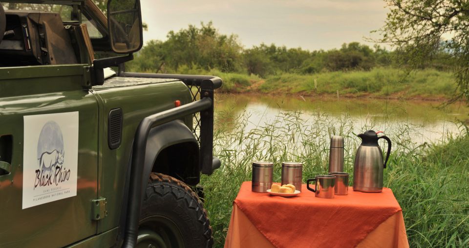 1 johannesburg 2 day 4 star pilanesberg safari Johannesburg: 2-Day 4-Star Pilanesberg Safari