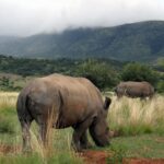 1 johannesburg customizable private day tour with guide Johannesburg: Customizable Private Day Tour With Guide
