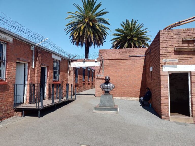 Johannesburg: Private Guided City Tour With Apartheid Museum