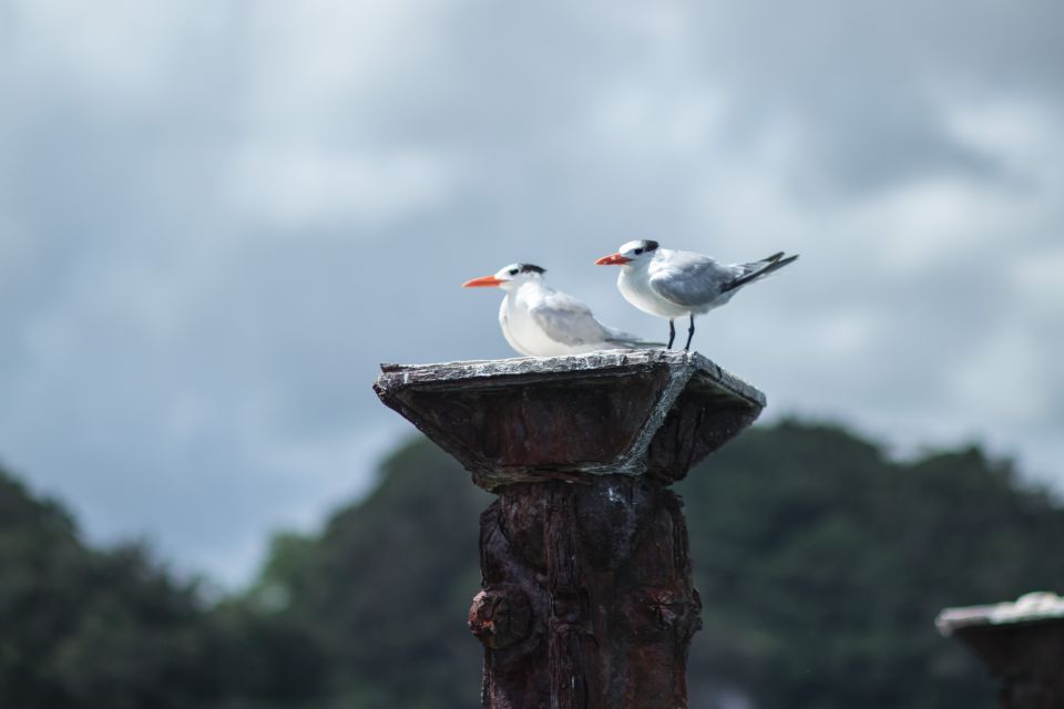 1 juan dolio los haitises guided hike and kayaking Juan Dolio: Los Haitises Guided Hike and Kayaking