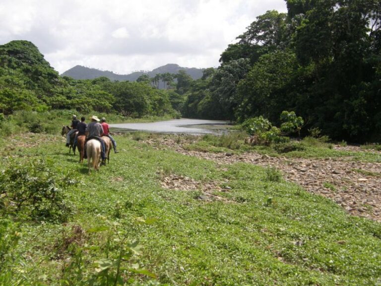 Jungle River Adventure Horseback Ride & Zip Line Tour