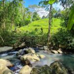 1 jungle trekking at mt batukaru scenic waterfall village Jungle Trekking at Mt. Batukaru, Scenic Waterfall & Village