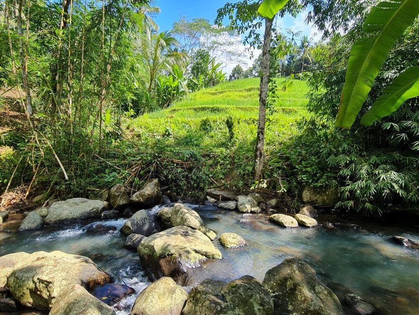 1 jungle trekking at mt batukaru scenic waterfall village Jungle Trekking at Mt. Batukaru, Scenic Waterfall & Village