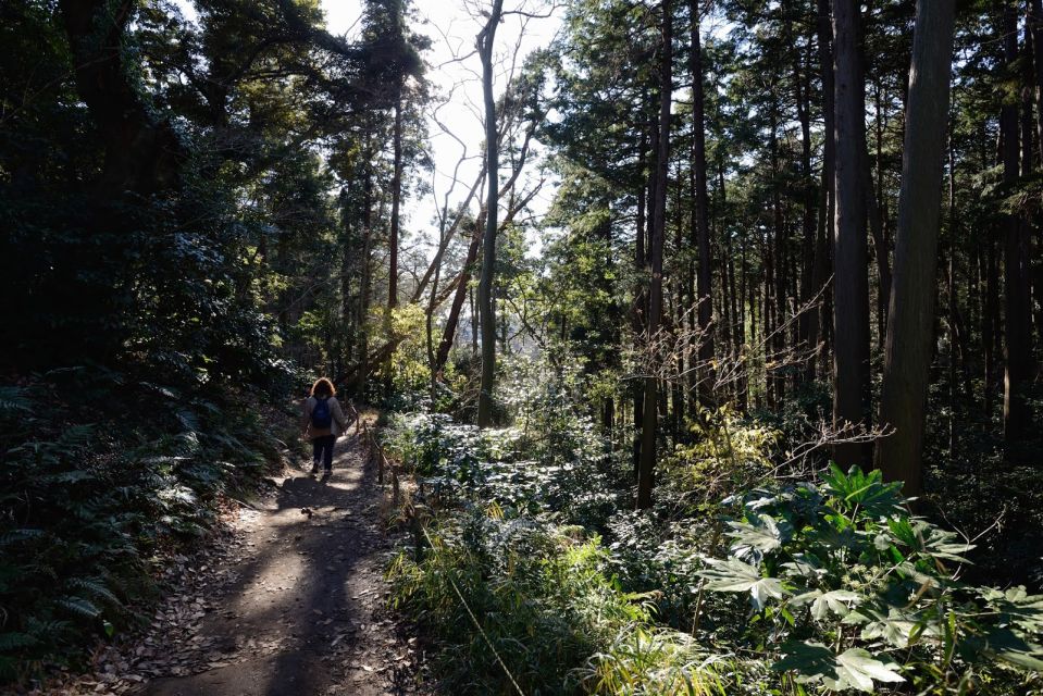 1 kamakura daibutsu hiking trail tour with local guide Kamakura: Daibutsu Hiking Trail Tour With Local Guide