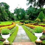 1 kandy city tour botanical garden spice herbal garden e Kandy City Tour Botanical Garden * Spice & Herbal Garden * E