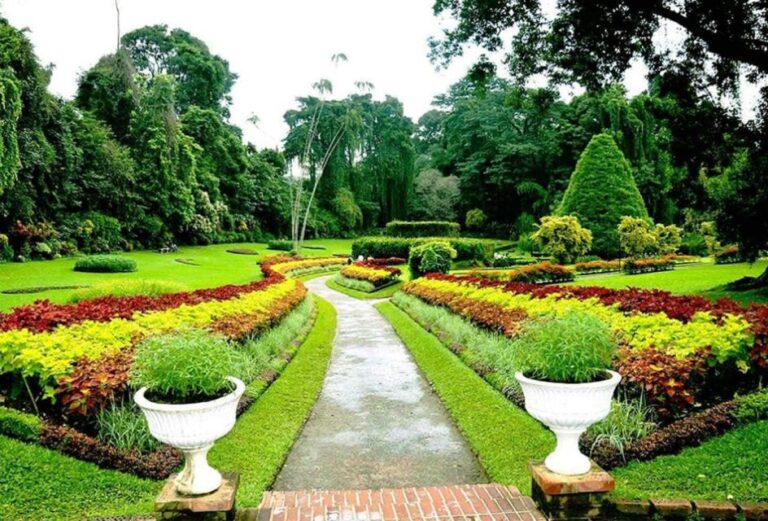 Kandy City Tour Botanical Garden * Spice & Herbal Garden * E