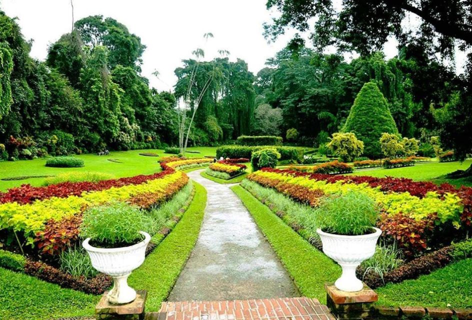 1 kandy city tour botanical garden spice herbal garden e Kandy City Tour Botanical Garden * Spice & Herbal Garden * E