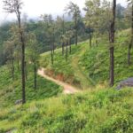 1 kandy to nuwaraeliya 3d trekking pekoe trails stage 1 2 3 Kandy to Nuwaraeliya 3D Trekking Pekoe Trails Stage 1-2-&-3