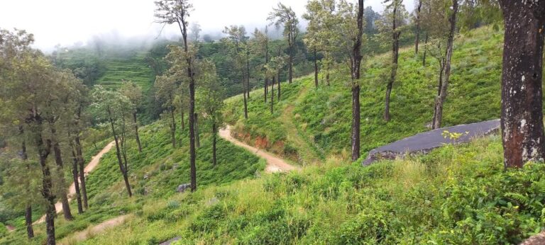 Kandy to Nuwaraeliya 3D Trekking Pekoe Trails Stage 1-2-&-3