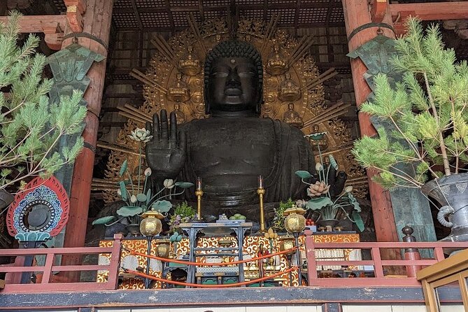 Kansai Adventure: Discovering Nara Private Guided Tour