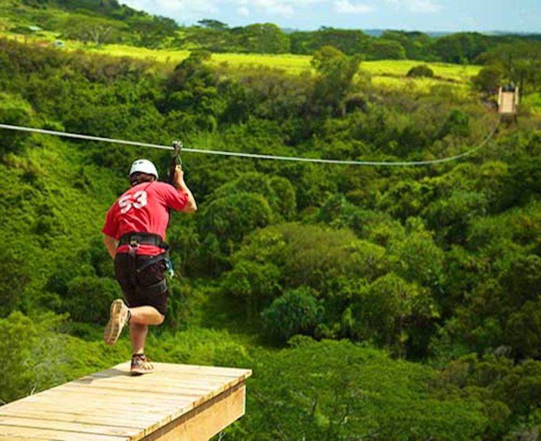 1 kauai zipline adventure Kauai: Zipline Adventure