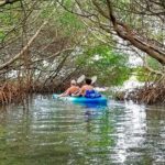 1 kayak adventure of shell key preserve island with a local Kayak Adventure of Shell Key Preserve & Island With a Local
