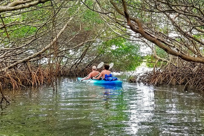 1 kayak adventure of shell key preserve island with a local Kayak Adventure of Shell Key Preserve & Island With a Local