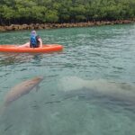 1 kayak or stand up paddle board island and wildlife exploration Kayak or Stand up Paddle Board Island and Wildlife Exploration