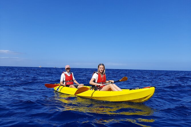 1 kayak safari with dolphin and turtle watching in guaza Kayak Safari With Dolphin and Turtle Watching in Guaza