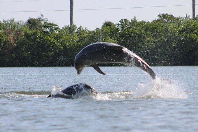 Kayak Tour Adventure Marco Island and Naples Florida