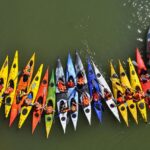 1 kayak tour in seville Kayak Tour in Seville