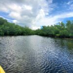 1 kayak tour of mangrove maze from key west Kayak Tour of Mangrove Maze From Key West
