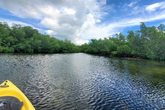 Kayak Tour of Mangrove Maze From Key West