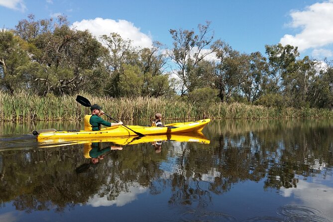 1 kayak tour on the canning river Kayak Tour on the Canning River