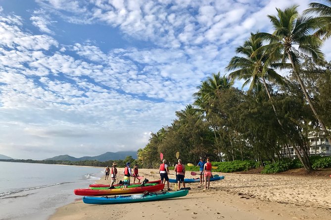 Kayak Turtle Tour From Palm Cove