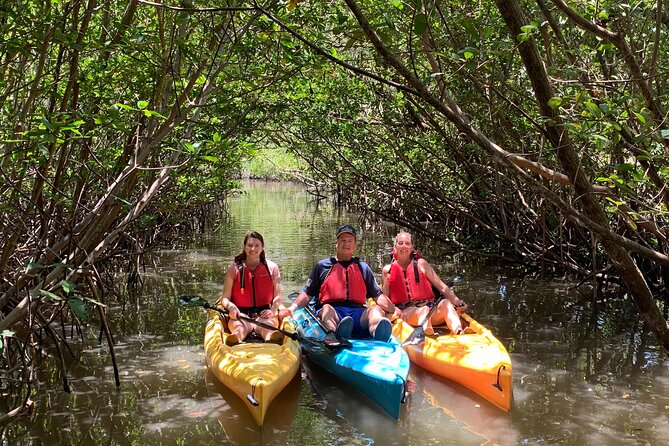 Kayaking Tour of Mangrove Tunnels in South Florida  – Fort Lauderdale