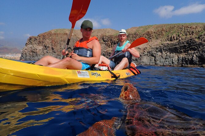 1 kayaking with dolphins and turtles and snorkelling in tenerife Kayaking With Dolphins and Turtles and Snorkelling in Tenerife