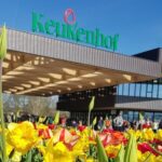 1 keukenhof flowerfarm tour from amsterdam skip the line tickets Keukenhof & Flowerfarm Tour From Amsterdam Skip-The-Line Tickets