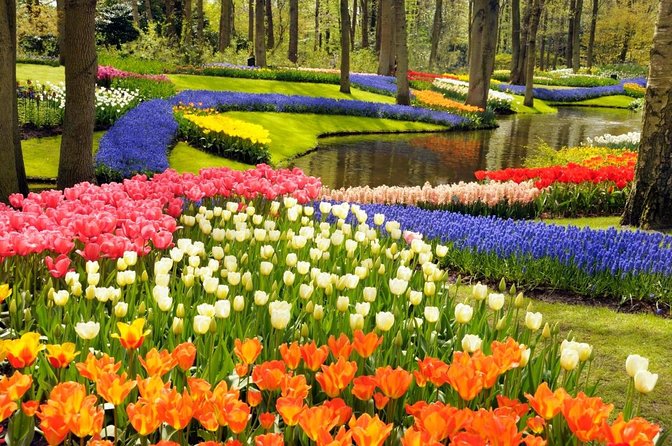 Keukenhof Gardens & Tulip Experience Guided Tour From Amsterdam