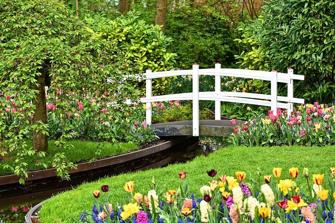 Keukenhof Gardens, Zaanse Schans Cheese Tasting Private Tour (Mar )