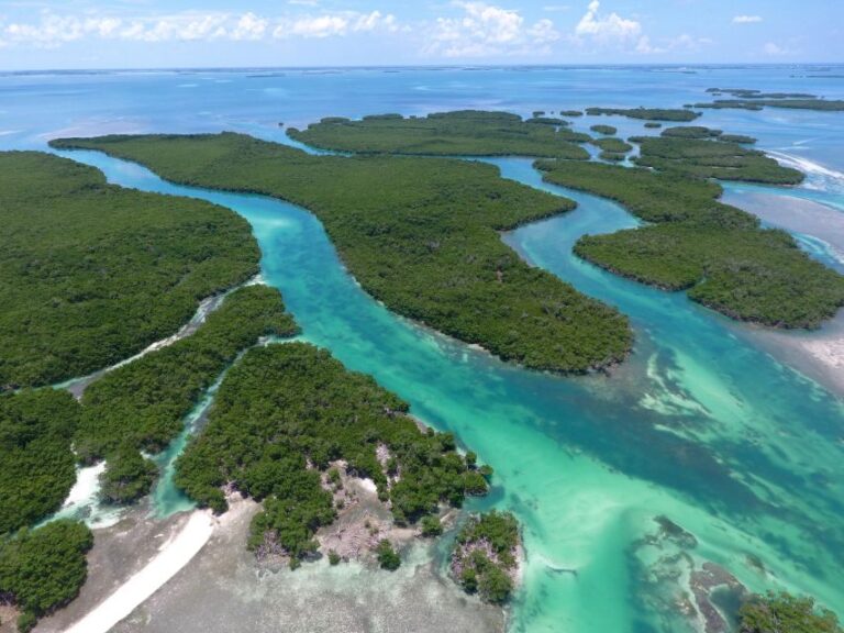 Key West: Eco Safari Tour With Snorkeling