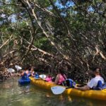 1 key west mangrove kayak eco tour Key West Mangrove Kayak Eco Tour