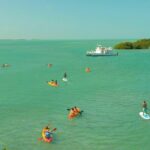 1 key west mangrove kayak eco tour and ultimate sandbar adventure Key West Mangrove Kayak Eco Tour and Ultimate Sandbar Adventure