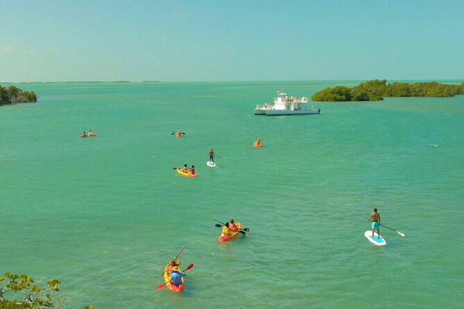 Key West Mangrove Kayak Eco Tour and Ultimate Sandbar Adventure