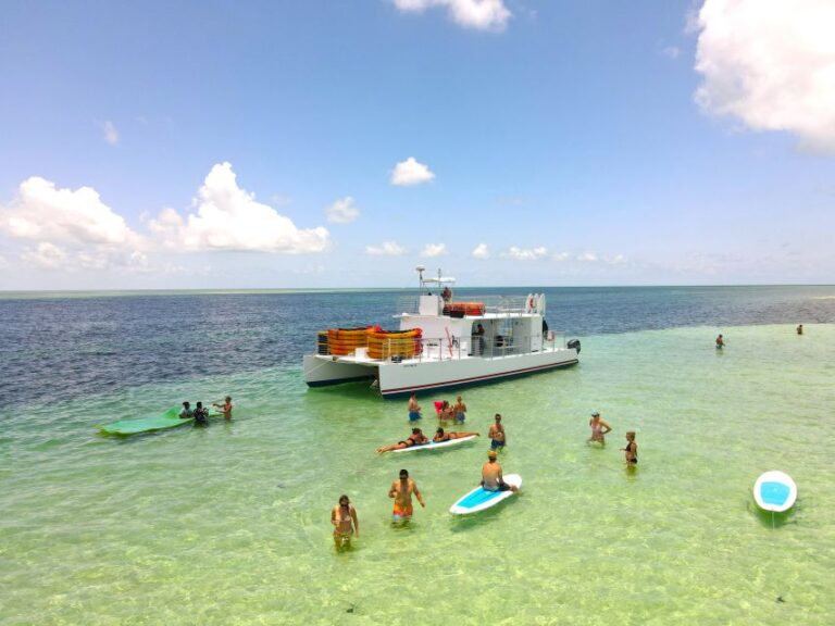 Key West Sandbar Excursion & Dolphin Tour Includes Beer Wine