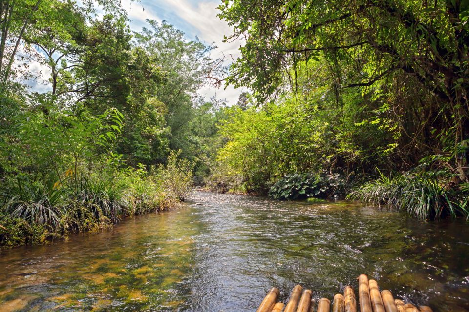 1 khao lak bamboo rafting elephants and turtle center tour Khao Lak: Bamboo Rafting, Elephants, and Turtle Center Tour