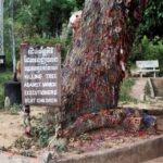 1 khmer rouge in depth tuol sleng museum killing fields Khmer Rouge In Depth: Tuol Sleng Museum & Killing Fields