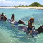 1 kingston horseback ride and swim excursion Kingston: Horseback Ride and Swim Excursion