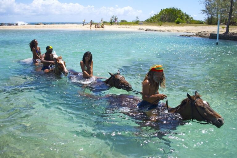 Kingston: Horseback Ride and Swim Excursion