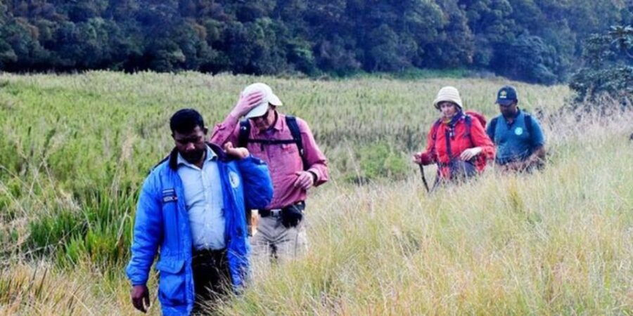 Kirigalpoththa Mountain Hike Through Horton Plains