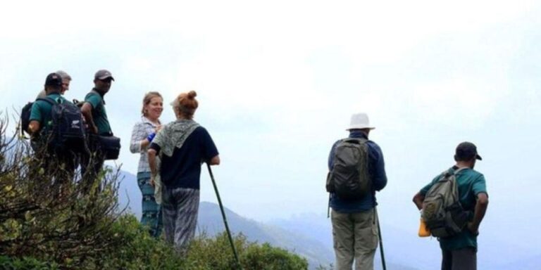 Knuckles Mountain Range, Matale – Book Tickets & Tours